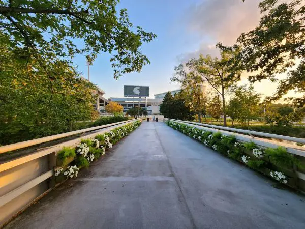 Michigan State University