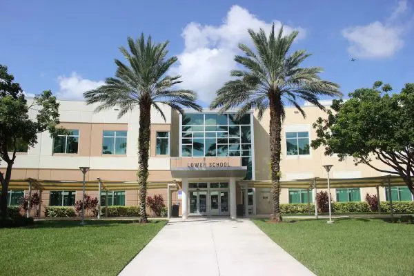 NSU University School
