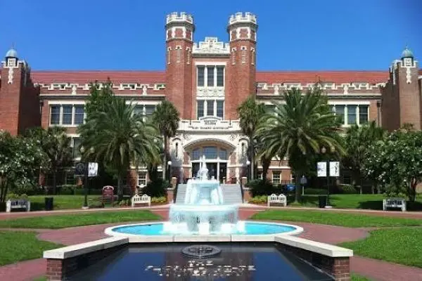 TRƯỜNG ĐẠI HỌC UNIVERSITY OF SOUTH FLORIDA (USF) 
