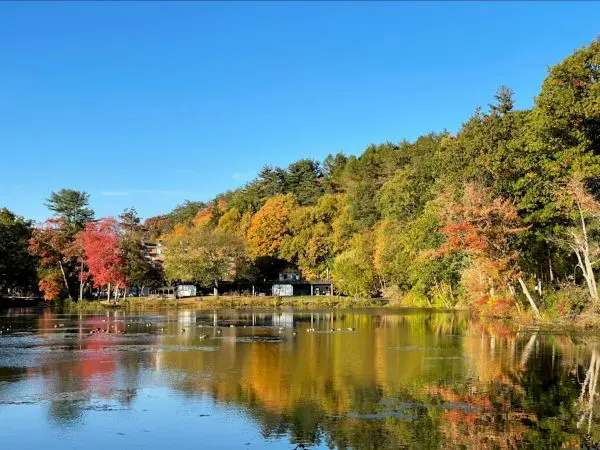 Mount Holyoke College