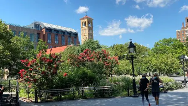 New York University