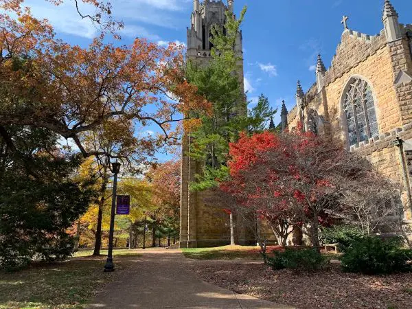 The University of the South