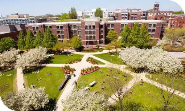 DePaul University