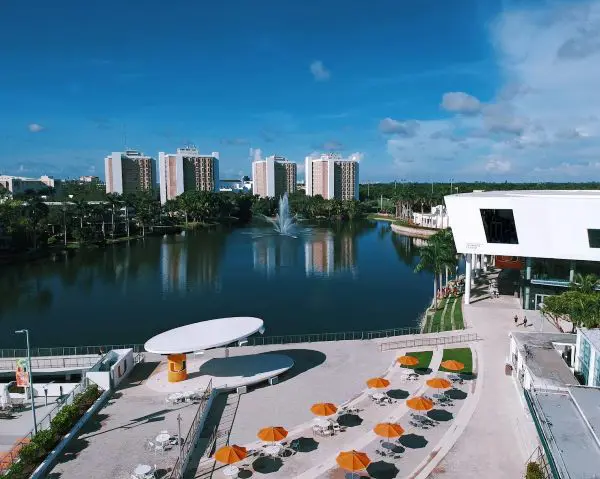 University of Miami 